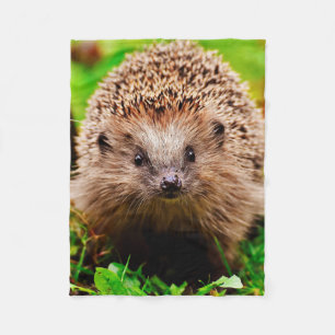 Niedlicher kleiner Igel im Wald Fleecedecke