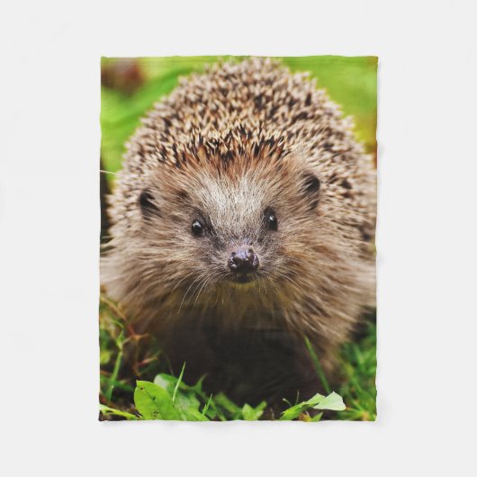 Niedlicher kleiner Igel im Wald Fleecedecke (Vorderseite)