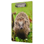 Niedlicher kleiner Igel im Wald Klemmbrett (Links)