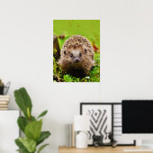 Niedlicher kleiner Igel im Wald Poster (Heimbüro)