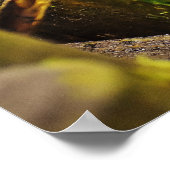 Niedlicher kleiner Igel im Wald Poster (Ecke)