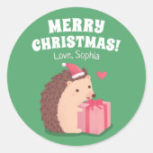 Niedlicher kleiner Igel mit Weihnachtsgeschenk Runder Aufkleber (Vorderseite)