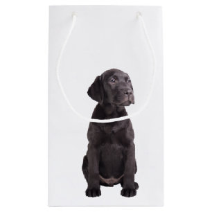 niedlicher kleiner Labrador-Retrieverwelpe Kleine Geschenktüte