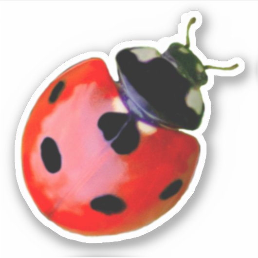 Niedlicher kleiner Ladybug gewährt viel Glück und  Aufkleber (Vorderseite)