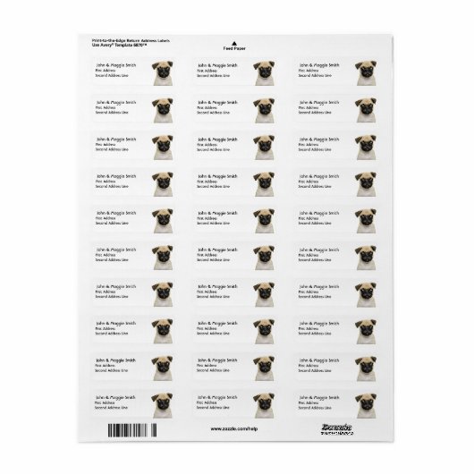 Niedlicher kleiner Mops Welpenhund Tier (Vorne)