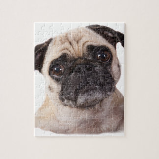 niedlicher kleiner Mopshund Puzzle