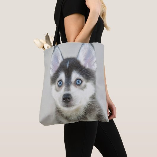 Niedlicher kleiner Pomsky Welpe Tasche (Von Nahem)