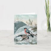 Niedlicher kleiner Vogel, Bullfinch, Art Karte (Vorderseite)