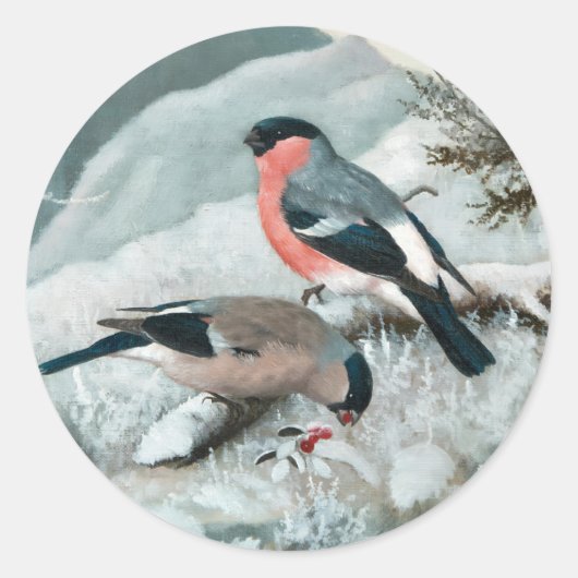 Niedlicher kleiner Vogel, Bullfinch, Art Runder Aufkleber (Vorderseite)