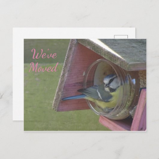 Niedlicher kleiner Vogel, den wir auf der Postkart Postkarte (Vorne/Hinten)