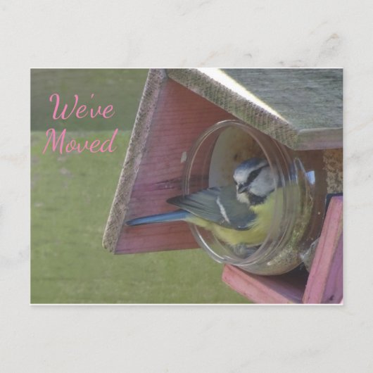 Niedlicher kleiner Vogel, den wir auf der Postkart Postkarte (Vorderseite)