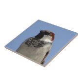 Niedlicher kleiner Vogel Fliese (Seite)