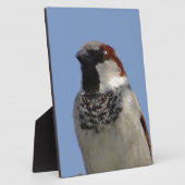 Niedlicher kleiner Vogel Fotoplatte (Seite)