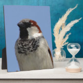 Niedlicher kleiner Vogel Fotoplatte (Seite)