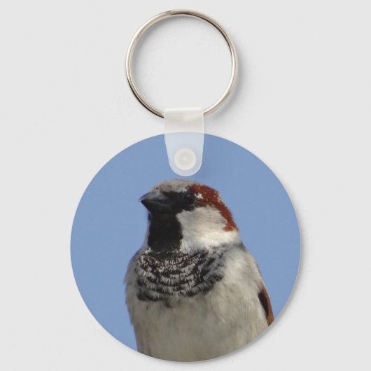 Niedlicher kleiner Vogel Schlüsselanhänger (Vorderseite)