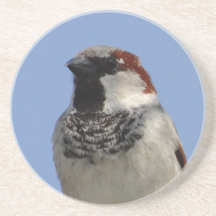 Niedlicher kleiner Vogel Untersetzer