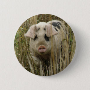 Niedlicher Knopf Button