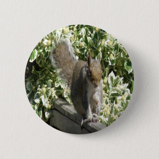 Niedlicher Knopf Button (Vorderseite)