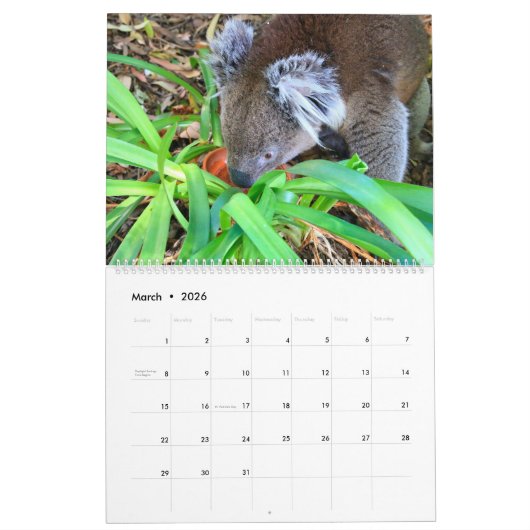 Niedlicher, knuddeliger Koala-Kalender 2026 Kalender (Mär 2026)