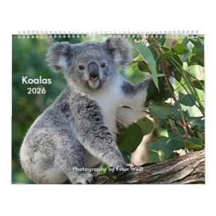 Niedlicher, knuddeliger Koala-Kalender 2026 Kalender