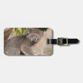 Niedlicher Koala-Bär, der auf einem Baum Gepäckanhänger (Vorderseite horizontal)