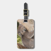 Niedlicher Koala-Bär, der auf einem Baum Gepäckanhänger (Vorderseite vertikal)