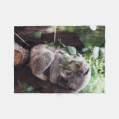 Niedlicher Koala-Bär, der in einem Baum sich Fleecedecke (Vorderseite (Horizontal))
