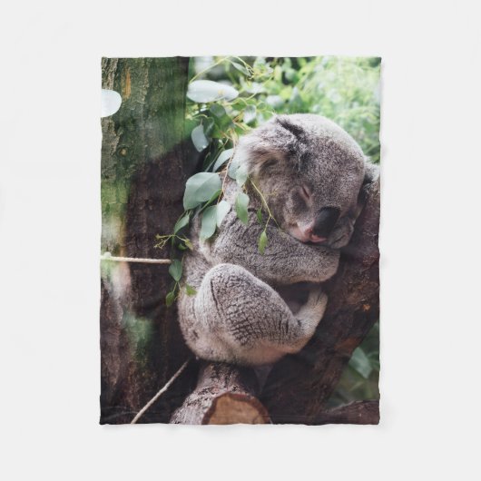 Niedlicher Koala-Bär, der in einem Baum sich Fleecedecke (Vorderseite)
