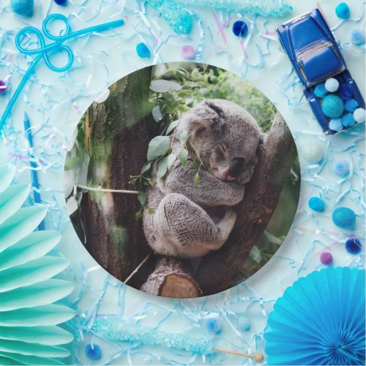 Niedlicher Koala-Bär, der in einem Baum sich Pappteller (Party)