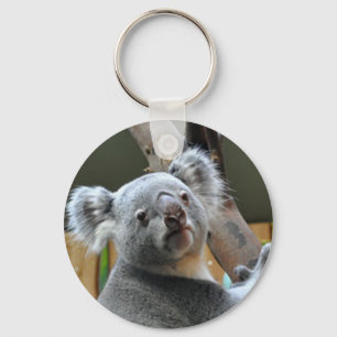 "Niedlicher Koala-Bär" Designgeschenke und -produk Schlüsselanhänger
