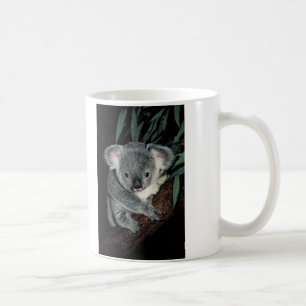 Niedlicher Koala-Bär Kaffeetasse