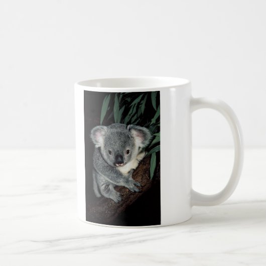 Niedlicher Koala-Bär Kaffeetasse (Rechts)