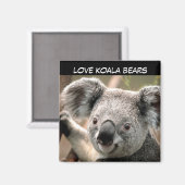 Niedlicher Koala-Bär Magnet (Vorderseite/Rückseite)