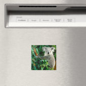 Niedlicher Koala-Bär Magnet (In Situ (Geschirrspüler))
