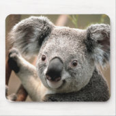 Niedlicher Koala-Bär Mousepad (Vorne)