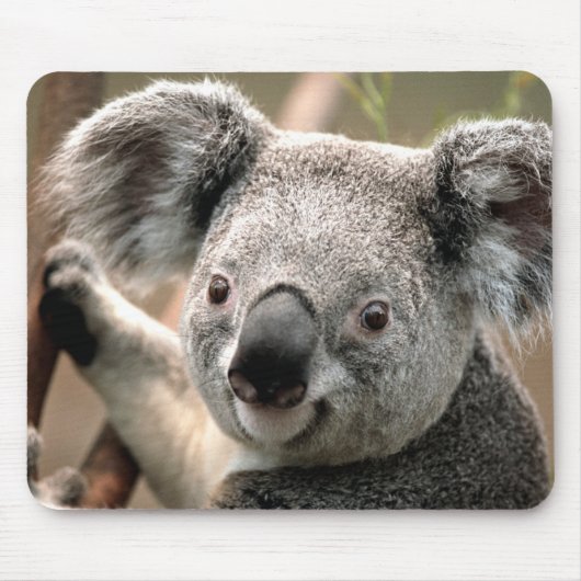 Niedlicher Koala-Bär Mousepad (Vorne)