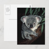 Niedlicher Koala-Bär Postkarte (Vorne/Hinten)