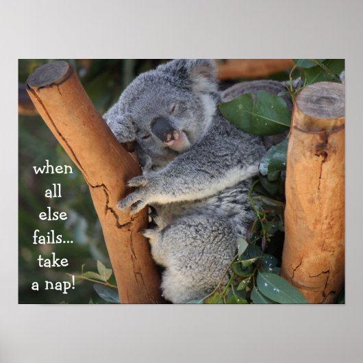 Niedlicher Koala-Bär, wenn alle anderen ein Nicker Poster (Vorne)