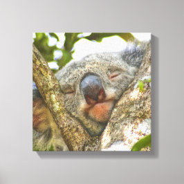 Niedlicher Koala-Bär Wrapped Canvas Leinwanddruck