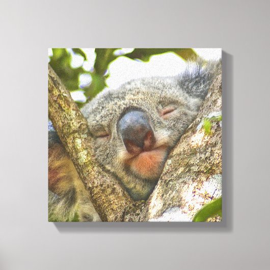 Niedlicher Koala-Bär Wrapped Canvas Leinwanddruck (Vorderseite)