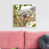 Niedlicher Koala-Bär Wrapped Canvas Leinwanddruck (Insitu (Wohnzimmer))