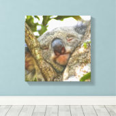 Niedlicher Koala-Bär Wrapped Canvas Leinwanddruck (Insitu (Holzboden))