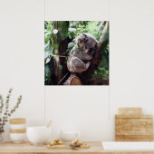 Niedlicher Koala-Bär zum Entspannen in einem Baum Poster (Küche)