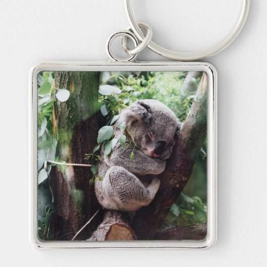 Niedlicher Koala-Bär zum Entspannen in einem Baum Schlüsselanhänger (Vorne)