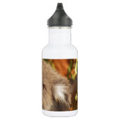 Niedlicher Koala-Bären Aussi Edelstahlflasche (Rechts)