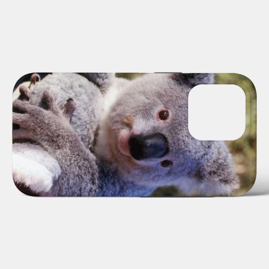 Niedlicher Koala-Bären-Fall 4 iPhone-Fall Case-Mate iPhone Hülle (Rückseite (Horizontal))