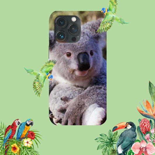 Niedlicher Koala-Bären-Fall 4 iPhone-Fall iPhone Hülle