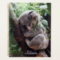 Niedlicher Koala Bären Tierfreunde jährlich