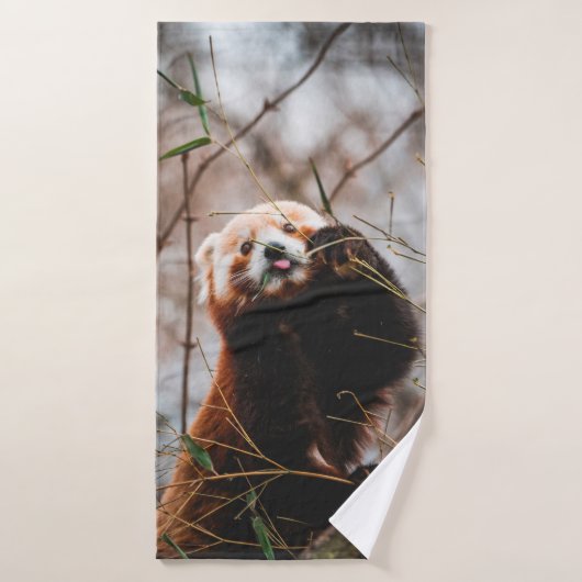 NIEDLICHER KOALA BEAR BADEHANDTUCH (Badehandtuch)