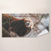 NIEDLICHER KOALA BEAR BADEHANDTUCH (Badehandtuch)